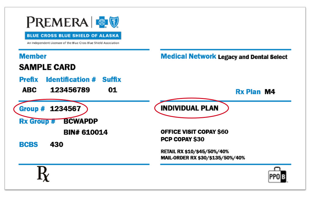 Premera Blue Cross Blue Shield Of Alaska Onehealthport